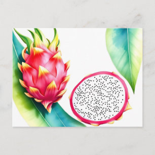 Watercolor Dragon Fruit in Bold Colors on White Postcard