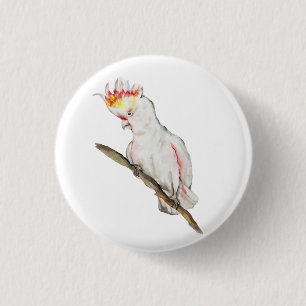 Watercolor drawing of a cockatoo parrot button