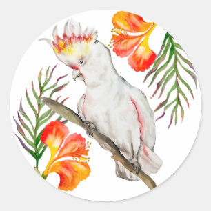 Watercolor drawing of a cockatoo parrot classic round sticker