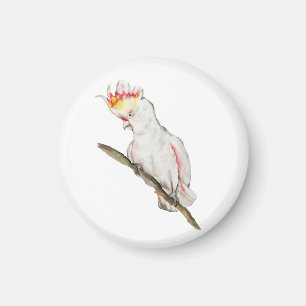 Watercolor drawing of a cockatoo parrot magnet