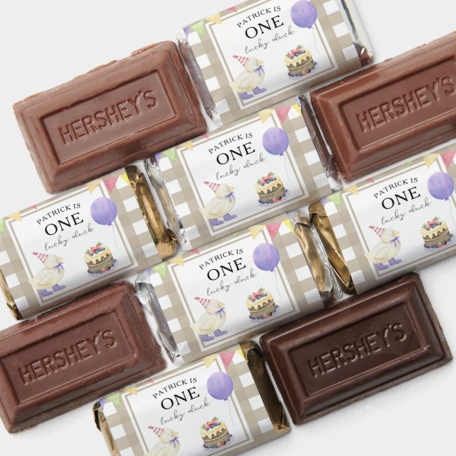 Watercolor Duck 1st birthday party Hershey's Miniatures (Assorted)