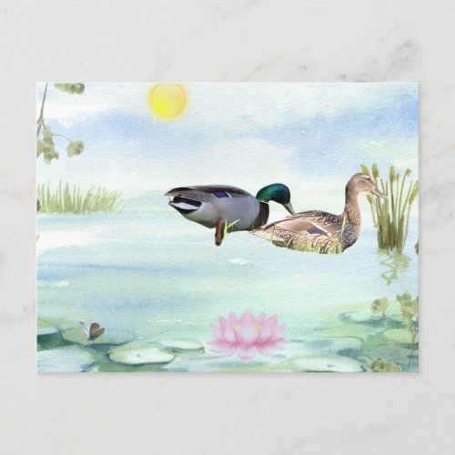 Watercolor Ducks with Lotus n Butterfly Postcard