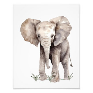 watercolor elephant artwork photo print
