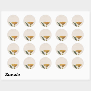 Watercolor Faecore floral Tea Party Classic Round Sticker