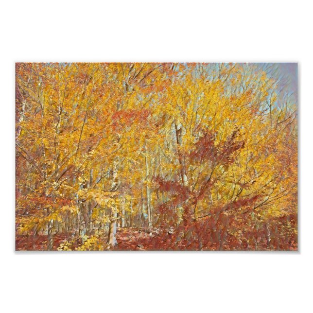 Watercolor Fall Foilage Photo Print (Front)