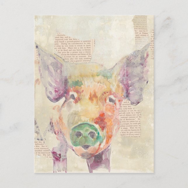 Watercolor Farm Collage Pig Postcard (Front)