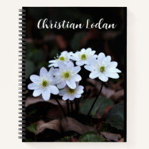 Watercolor Field Wildflowers notebook