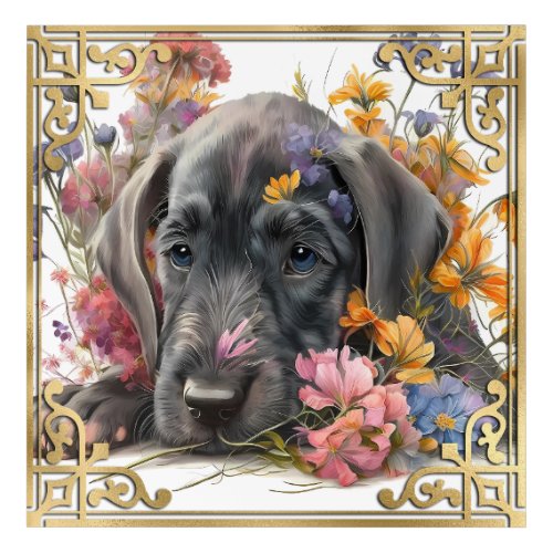 Watercolor Floral Great Dane Puppy  Gold Frame Acrylic Print