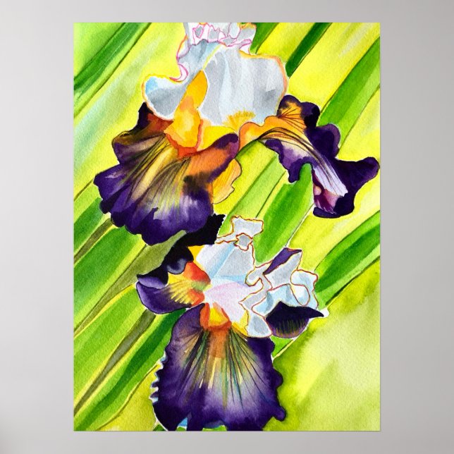 Watercolor floral iris flower poster (Front)