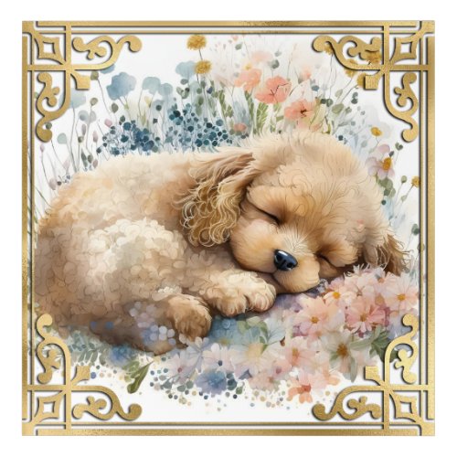 Watercolor Floral Poodle Puppy and Gold Frame Acrylic Print