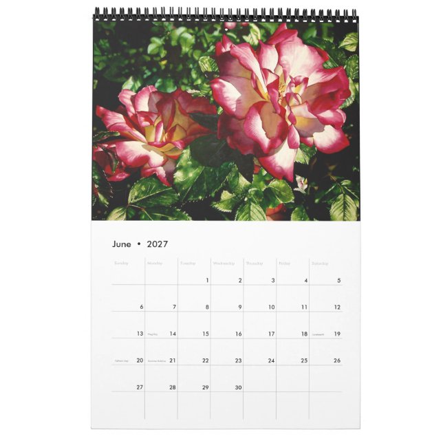 Watercolor Flowers Calendar (Jun 2027)