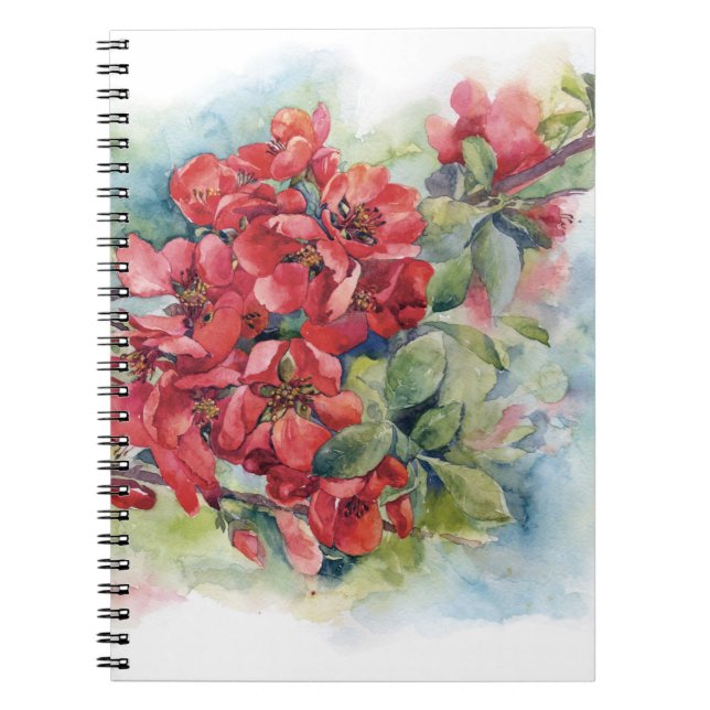 Watercolor flowers red apple quince bloom  illustr notebook (Front)