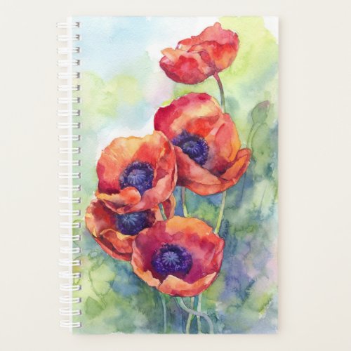 Watercolor flowers red poppy illustration flowers planner