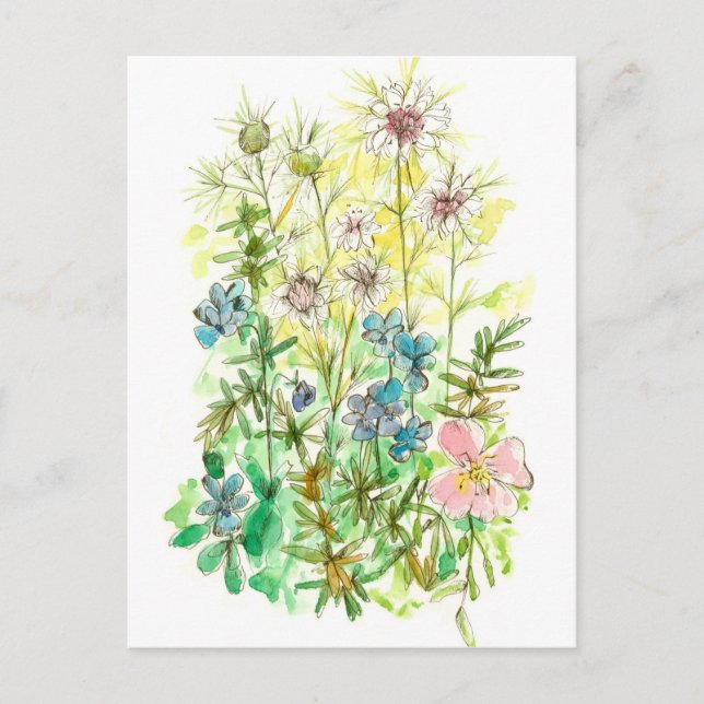 Watercolor Flowers Spring Garden Nigella Viola Postcard (Front)