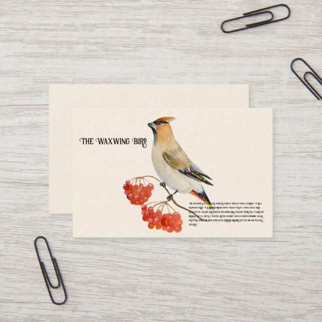Watercolor forest bird waxwing business card (Front/Back In Situ)