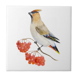 Watercolor forest bird waxwing ceramic tile