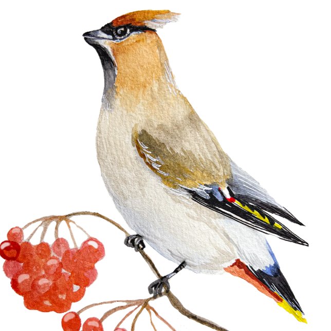 Watercolor forest bird waxwing latte mug (Creator Uploaded)