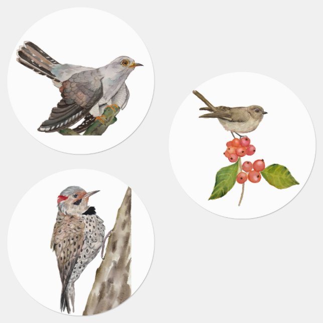 Watercolor forest birds labels (Group)