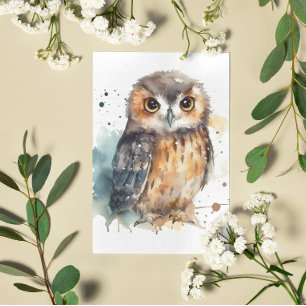 Watercolor Forest Owl Illustration Postcard