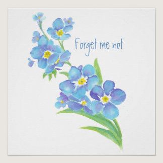Watercolor Forget-me-not flower Pretty blue floral Poster