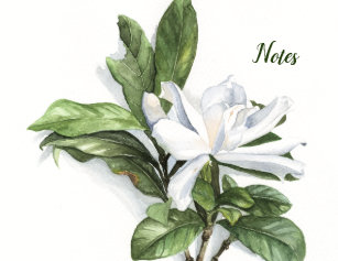 gardenia watercolor gifts on