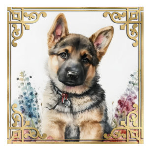 Watercolor German Shepherd Puppy with Gold Frame Acrylic Print