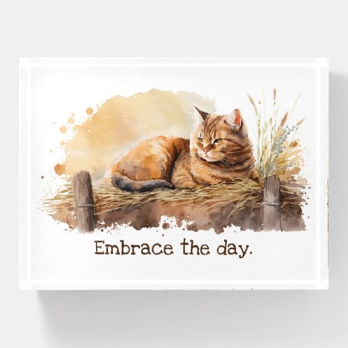 Watercolor Ginger Cat With Quote Paperweight