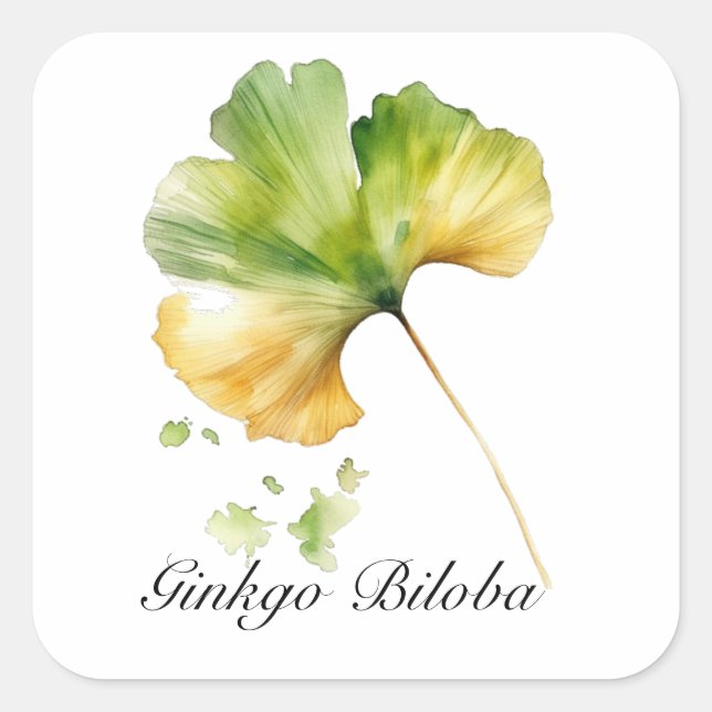 Watercolor Ginkgo Biloba Leaf Botanical Wellness Square Sticker (Front)
