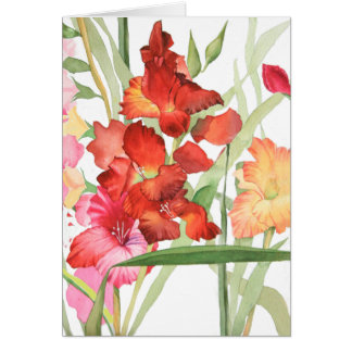 Watercolor Gladiolas Cards