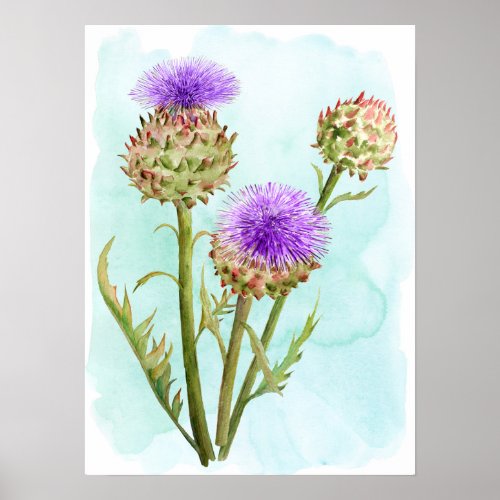 Watercolor Globe Artichoke Flower Head Poster