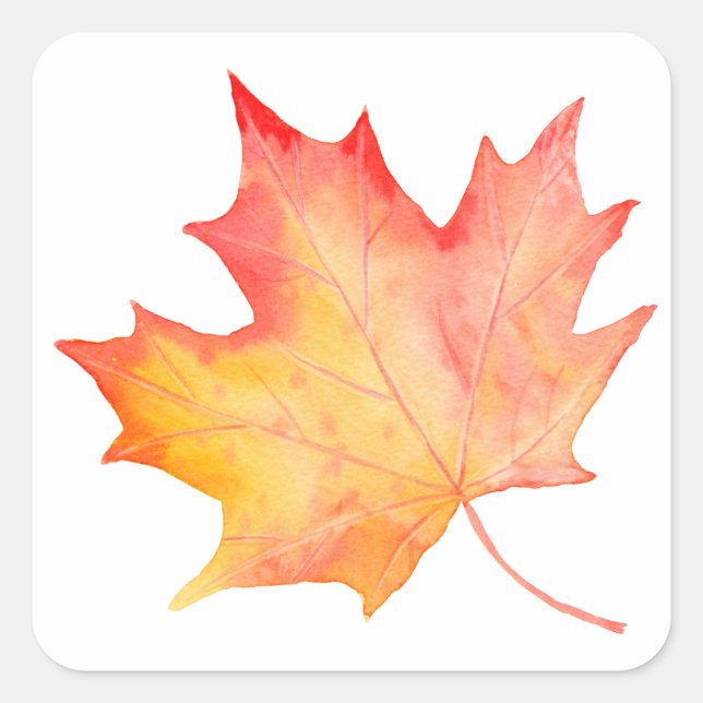 Watercolor Golden Maple Leaf Square Sticker (Front)