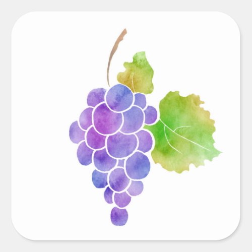 Watercolor Grapes Square Sticker
