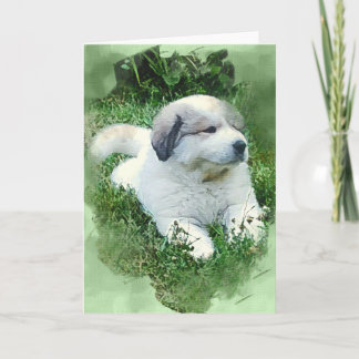 Watercolor Great Pyrenees Puppy Relaxing Card