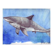 Watercolor Great White Shark