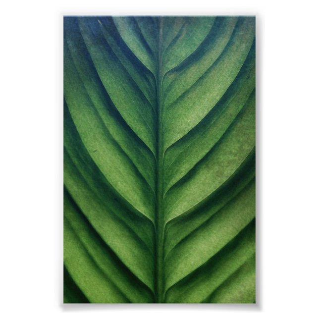 Watercolor Green Leaf  Photo Print (Front)