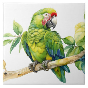 Watercolor Green Parrot on a Tree Branch  Ceramic Tile
