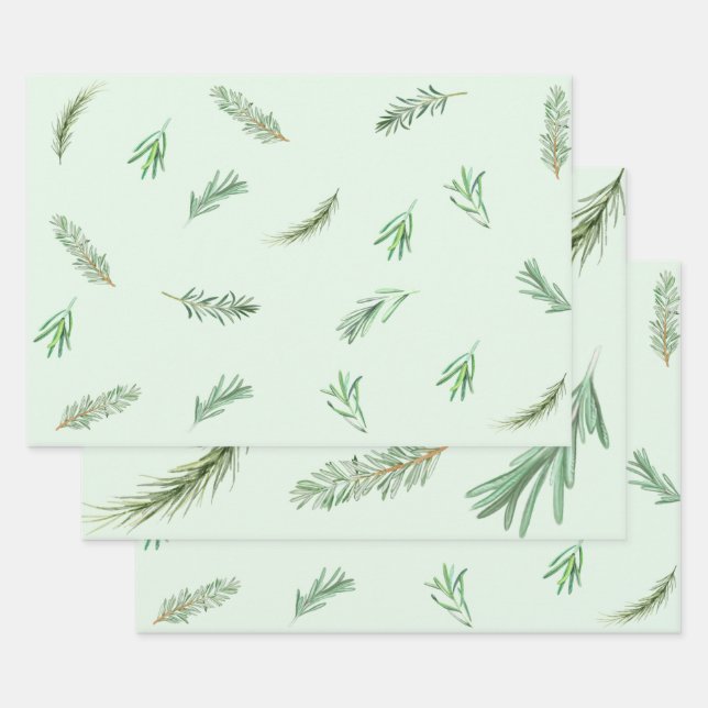 Watercolor Green Rosemary Branches Herbal Wrapping Paper Sheets (Set)