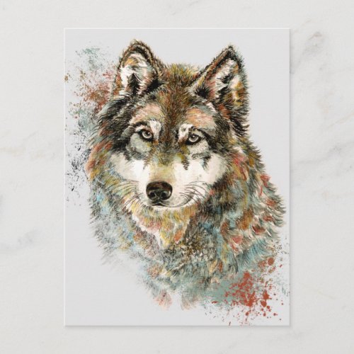 Watercolor Grey Wolf Wildlife Animal Nature Art Postcard