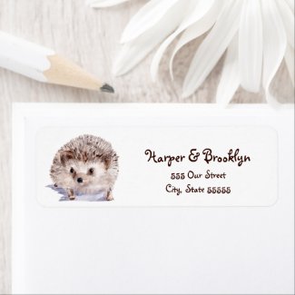 Watercolor Hedgehog Cute Wildlife Illustration 