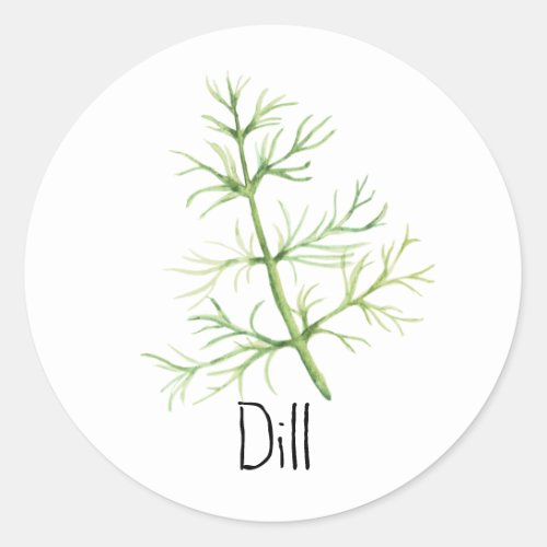 Watercolor Herb Dill Classic Round Sticker