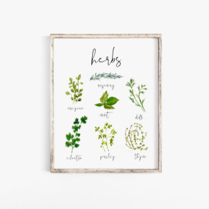 Watercolor Herb Kitchen Print Wall Art