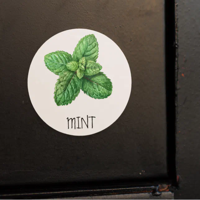 Watercolor Herb Mint Classic Round Sticker | Zazzle