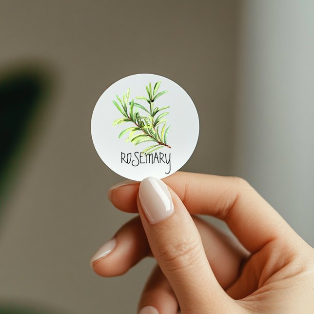 Watercolor Herb Rosemary Classic Round Sticker (Creator Uploaded)