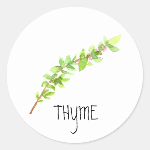 Watercolor Herb Thyme Classic Round Sticker
