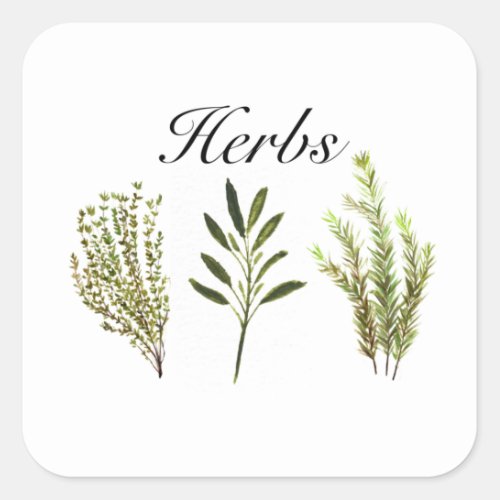 Watercolor Herbs Thyme Rosemary Sage Plants Pot Square Sticker