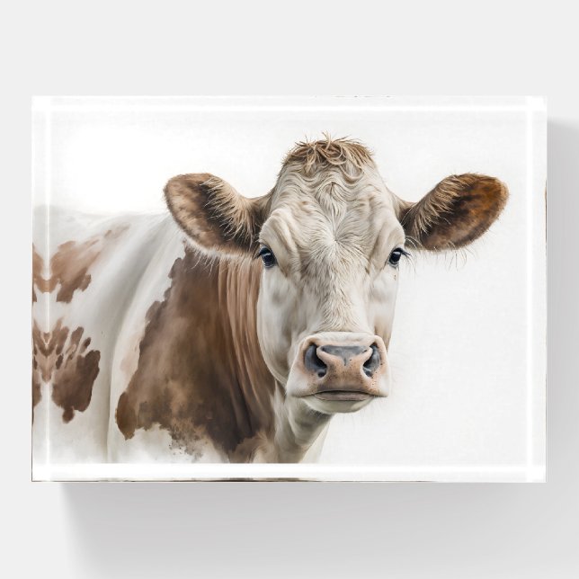 Watercolor Hereford Cow Paperweight (Front)