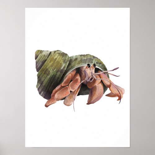 Watercolor Hermit Crab Crustaceancore  Poster