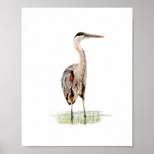 Watercolor Heron Bird Painting Poster