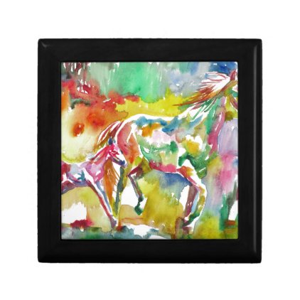 watercolor HORSE .17 Gift Box