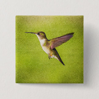 Watercolor Hummingbird Button